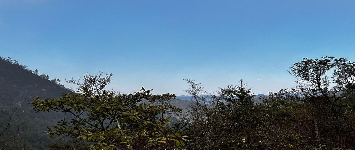 Foto de terreno habitacional en venta en innominada , san josé buenavista, san cristóbal de las casas, chiapas, 0 No. 03