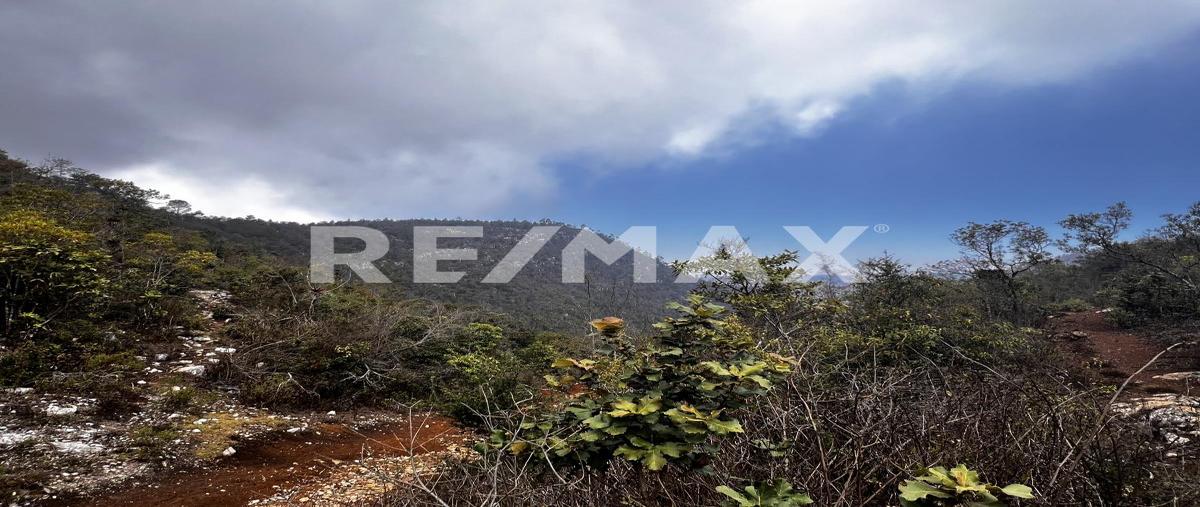 Foto de terreno habitacional en venta en innominada , san josé buenavista, san cristóbal de las casas, chiapas, 0 No. 04