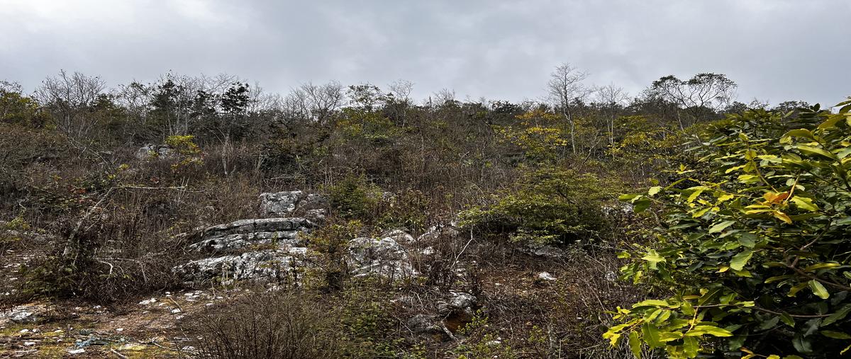 Foto de terreno habitacional en venta en innominada , san josé buenavista, san cristóbal de las casas, chiapas, 29776558 No. 05
