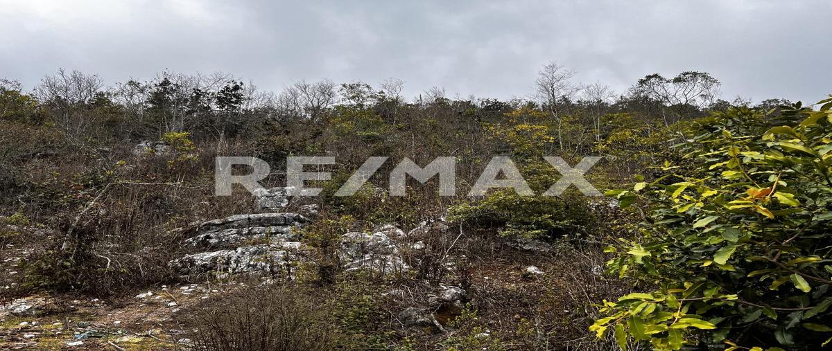 Foto de terreno habitacional en venta en innominada , san josé buenavista, san cristóbal de las casas, chiapas, 0 No. 05