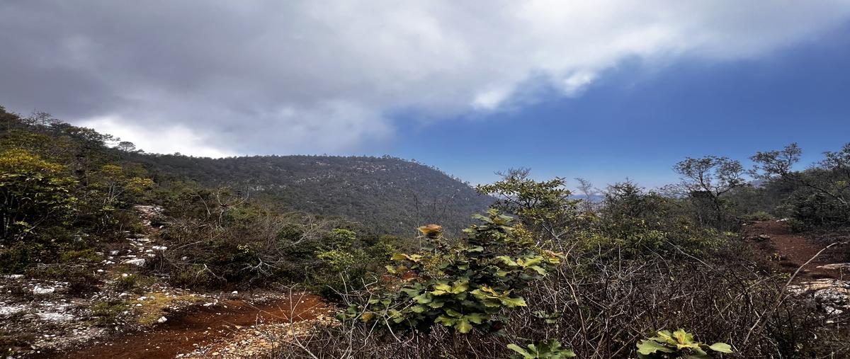 Foto de terreno habitacional en venta en innominada , san josé buenavista, san cristóbal de las casas, chiapas, 29776559 No. 03