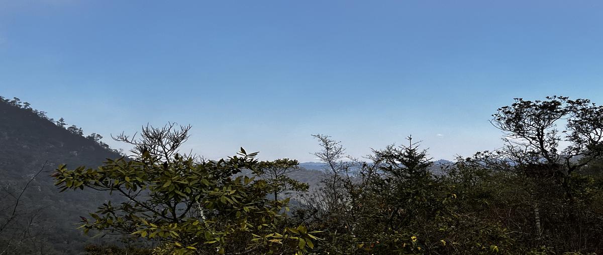 Foto de terreno habitacional en venta en innominada , san josé buenavista, san cristóbal de las casas, chiapas, 29776559 No. 04