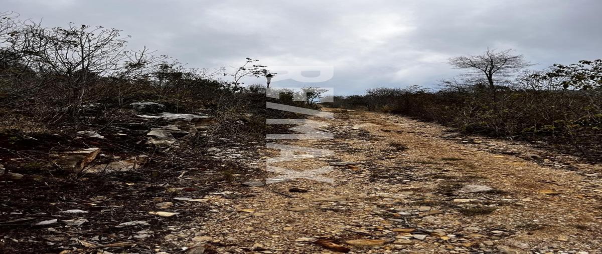 Foto de terreno habitacional en venta en innominada , san josé buenavista, san cristóbal de las casas, chiapas, 0 No. 05