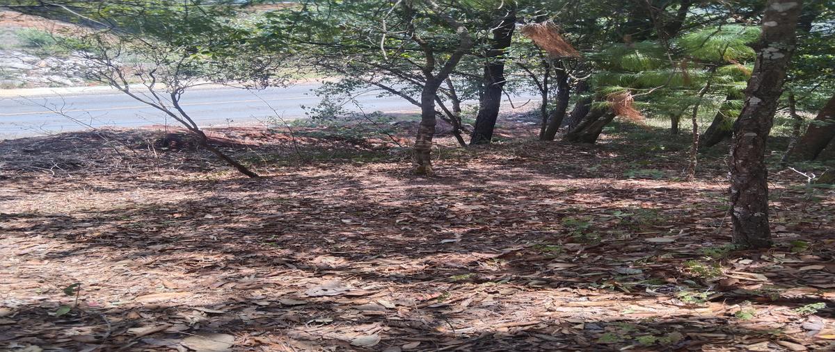 Foto de terreno habitacional en venta en innominada , san josé buenavista, san cristóbal de las casas, chiapas, 0 No. 03