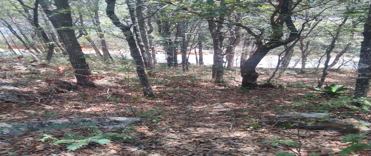 Foto de terreno habitacional en venta en innominada , san josé buenavista, san cristóbal de las casas, chiapas, 0 No. 05