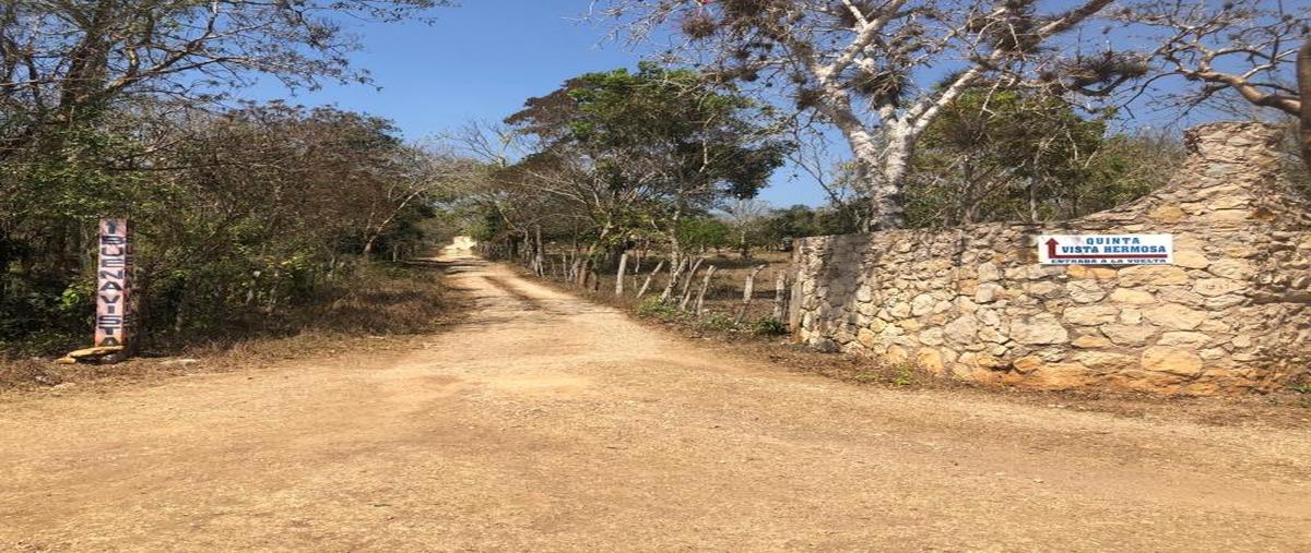 Foto de terreno habitacional en venta en innominada , san miguel, berriozábal, chiapas, 0 No. 04
