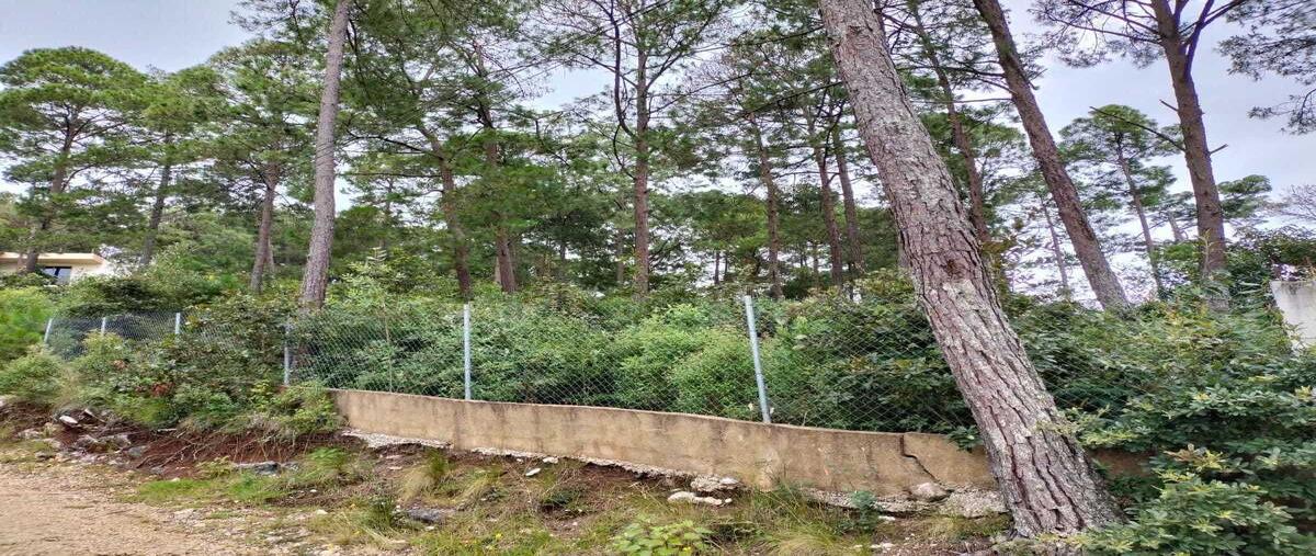 Foto de terreno habitacional en venta en innominada , san nicolás, san cristóbal de las casas, chiapas, 0 No. 03