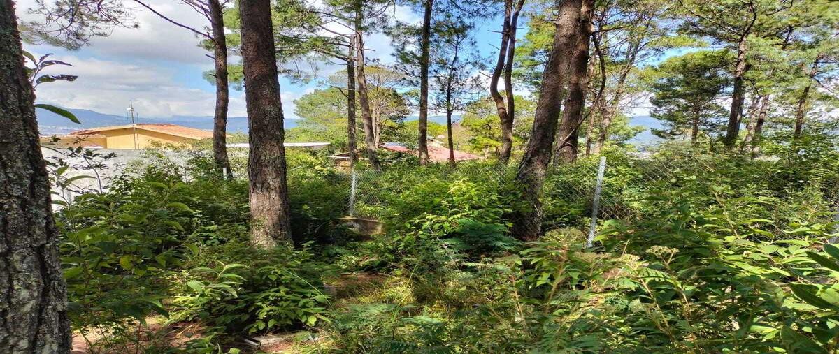 Foto de terreno habitacional en venta en innominada , san nicolás, san cristóbal de las casas, chiapas, 0 No. 05