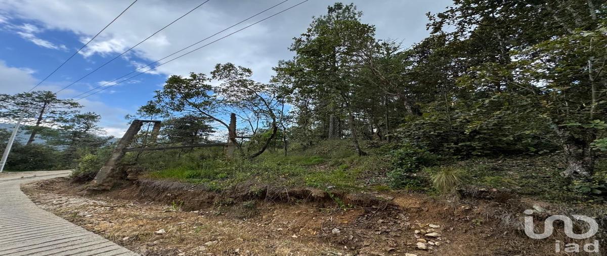 Foto de terreno habitacional en venta en inominada , huitepec ocotal sección ii, san cristóbal de las casas, chiapas, 30373365 No. 03