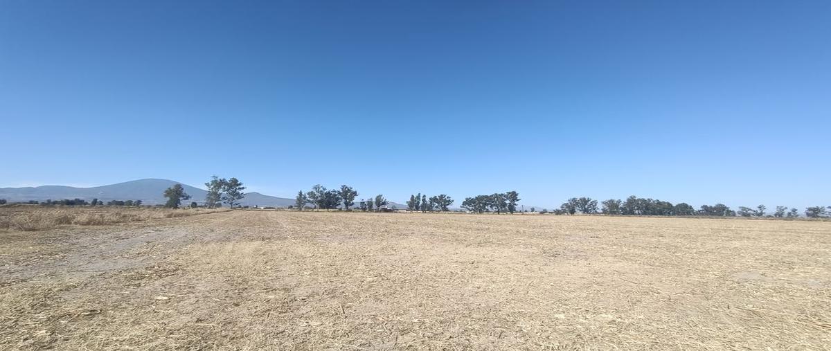 Foto de terreno habitacional en venta en insurgentes , el ranchito, tala, jalisco, 27742116 No. 03
