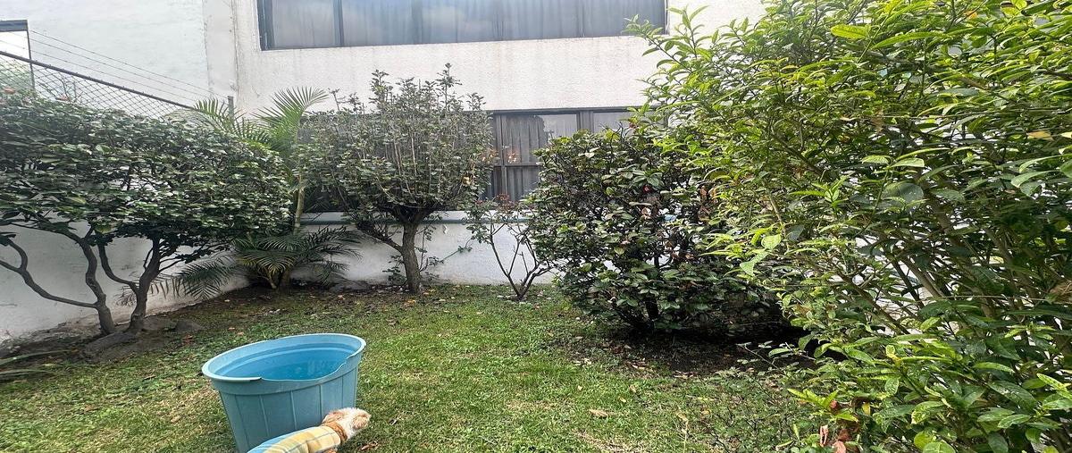 Foto de casa en , insurgentes san borja, benito juárez, df / cdmx, 0 foto 04 Foto de casa en venta en , insurgentes san borja, benito juárez, df / cdmx, 0 No. 04