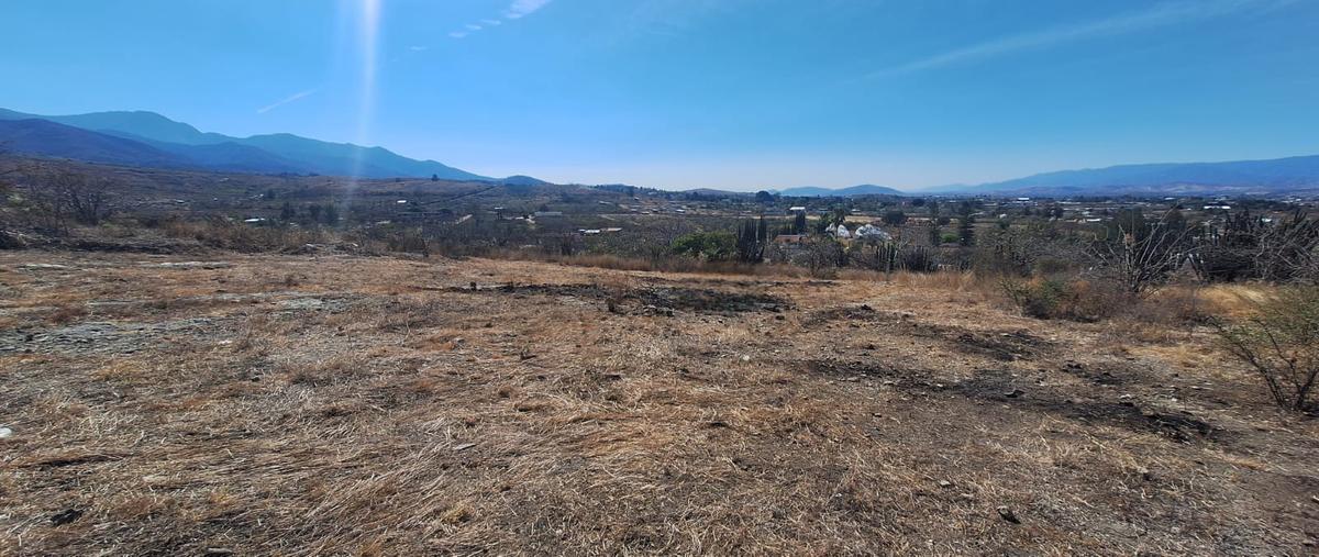 Foto de terreno habitacional en venta en insurgentes , san gabriel etla, san juan bautista guelache, oaxaca, 30903765 No. 03