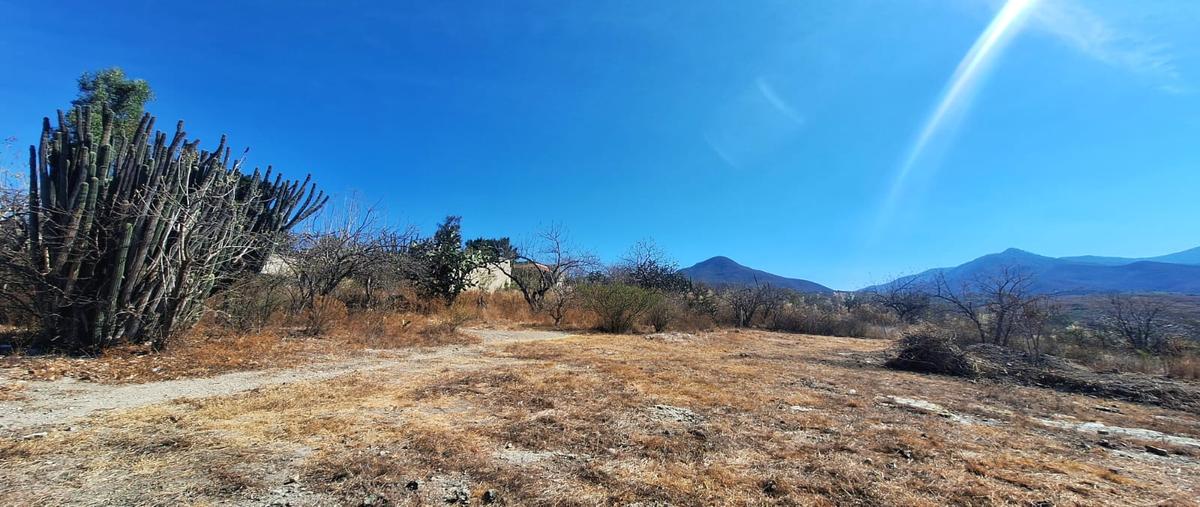 Foto de terreno habitacional en venta en insurgentes , san gabriel etla, san juan bautista guelache, oaxaca, 30903765 No. 05