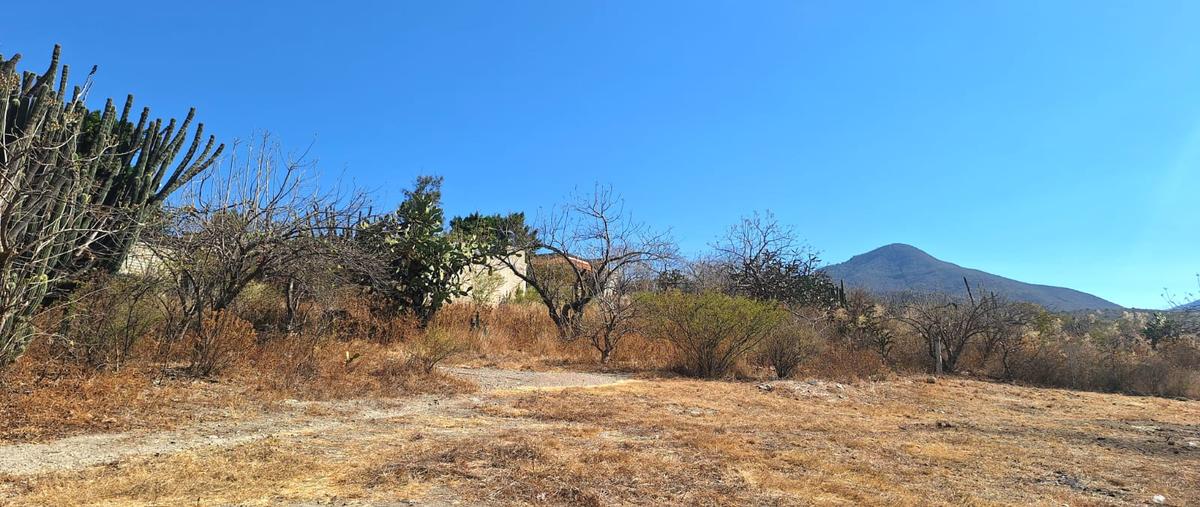 Foto de terreno habitacional en venta en insurgentes , san gabriel etla, san juan bautista guelache, oaxaca, 30903765 No. 06