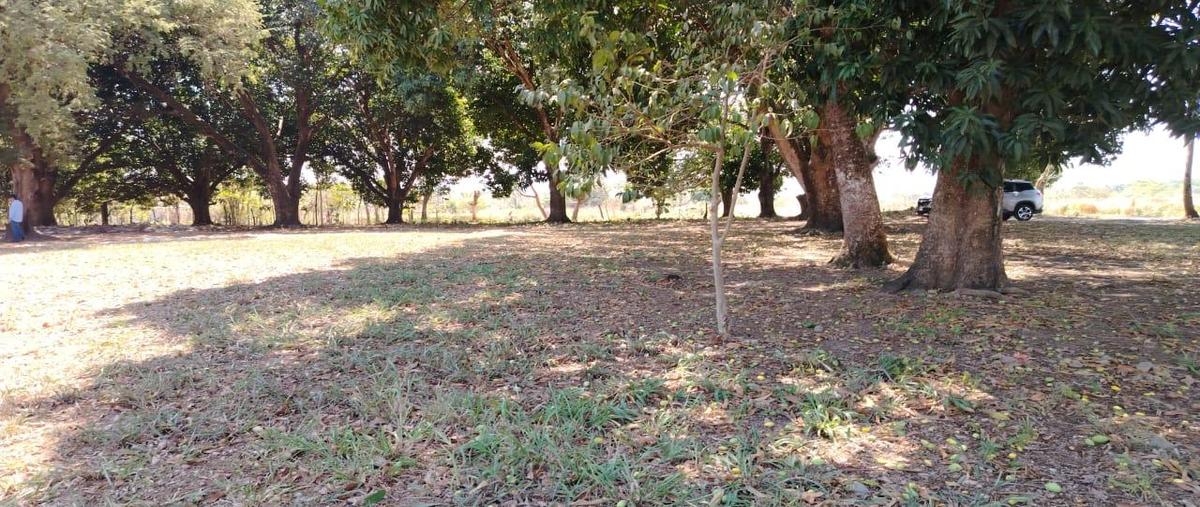 Foto de terreno habitacional en , insurgentes, san juan bautista tuxtepec, oaxaca, 0 foto 01 Foto de terreno habitacional en venta en , insurgentes, san juan bautista tuxtepec, oaxaca, 0 No. 01