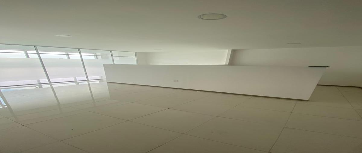 Foto de oficina en renta en insurgentes sur , crédito constructor, benito juárez, df / cdmx, 31718822 No. 05