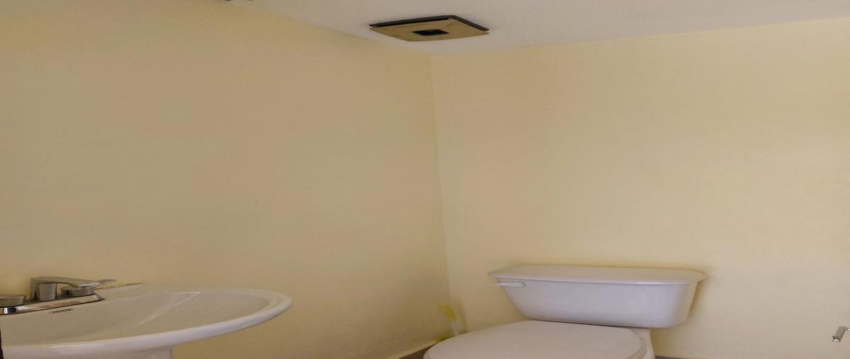 Foto de oficina en insurgentes sur , cuauhtémoc, cuauhtémoc, df / cdmx, 30159777 foto 08 Foto de oficina en renta en insurgentes sur , cuauhtémoc, cuauhtémoc, df / cdmx, 30159777 No. 08