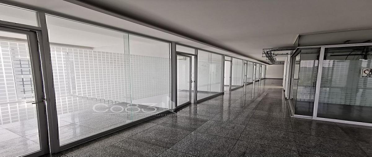 Foto de oficina en renta en insurgentes sur , san josé insurgentes, benito juárez, df / cdmx, 31082835 No. 03
