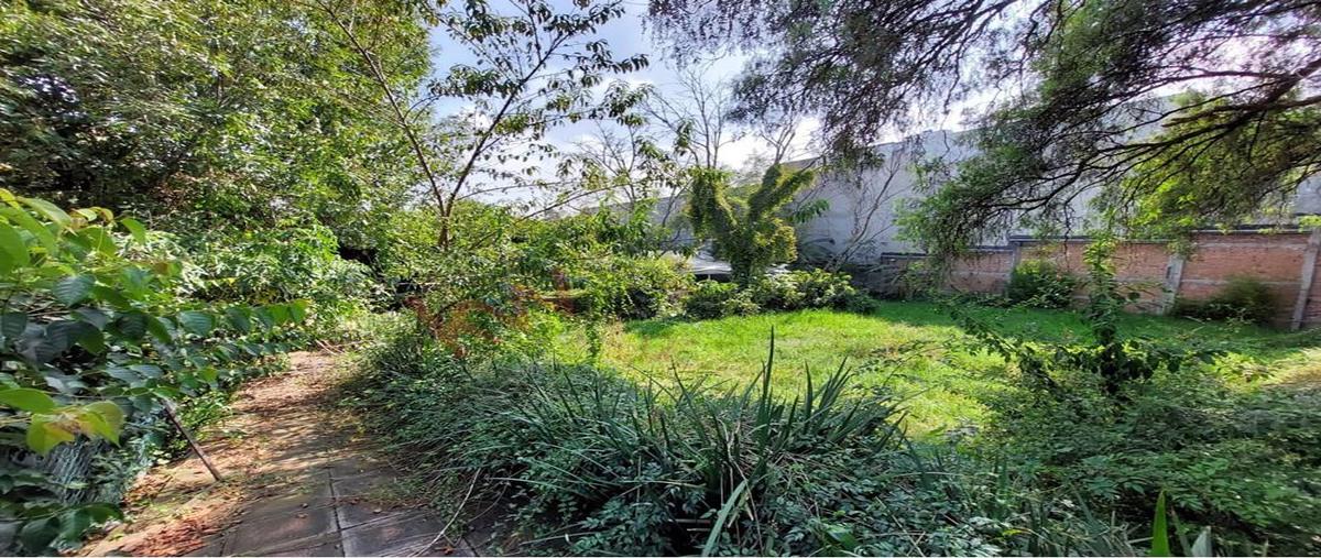 Foto de terreno habitacional en renta en insurgentes sur , tlalpan centro, tlalpan, df / cdmx, 0 No. 03