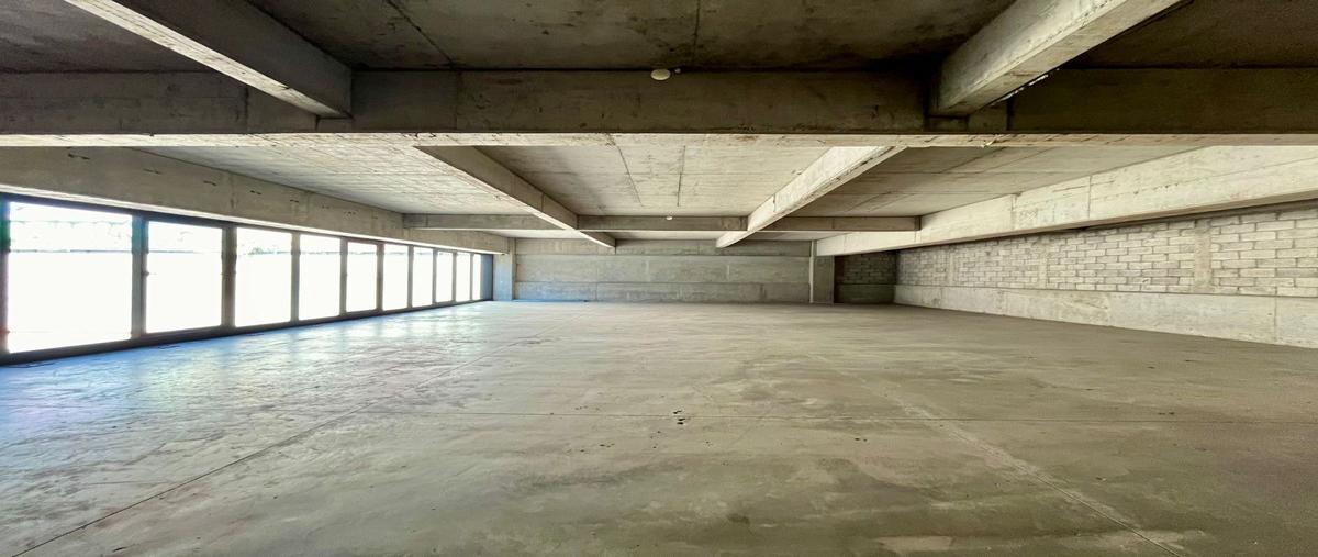 Foto de local en renta en insurgentes sur , tlalpan centro, tlalpan, df / cdmx, 28026089 No. 04