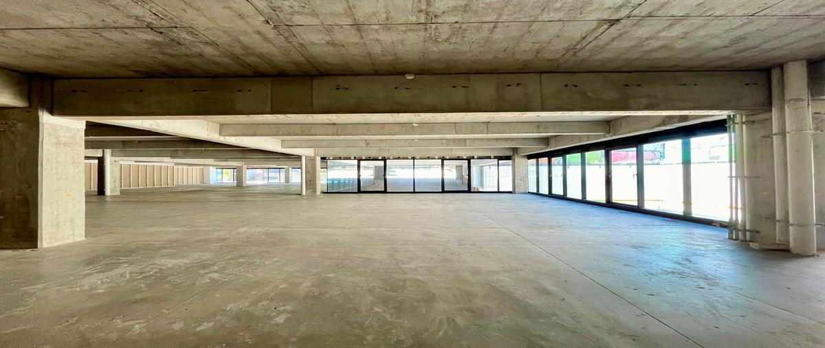 Foto de local en renta en insurgentes sur , tlalpan centro, tlalpan, df / cdmx, 28026089 No. 05