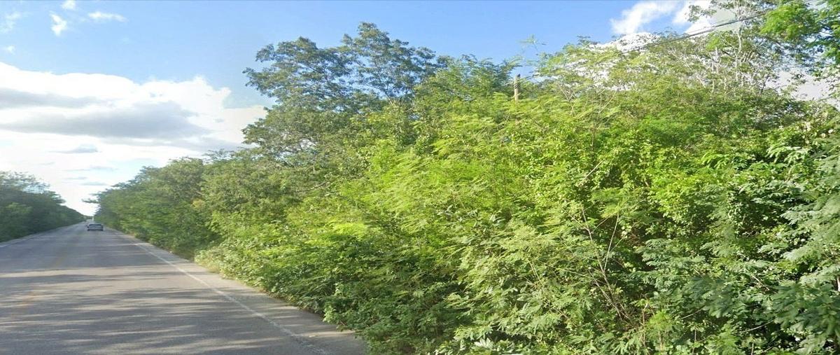 Foto de terreno habitacional en venta en interior , acanceh, acanceh, yucatán, 28195265 No. 03