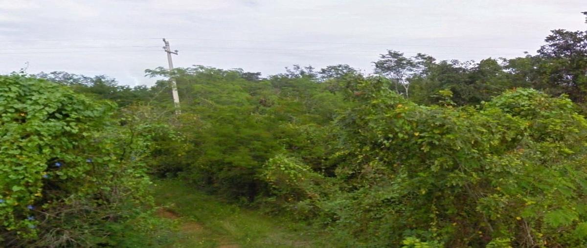 Foto de terreno habitacional en venta en interior , acanceh, acanceh, yucatán, 28195265 No. 04