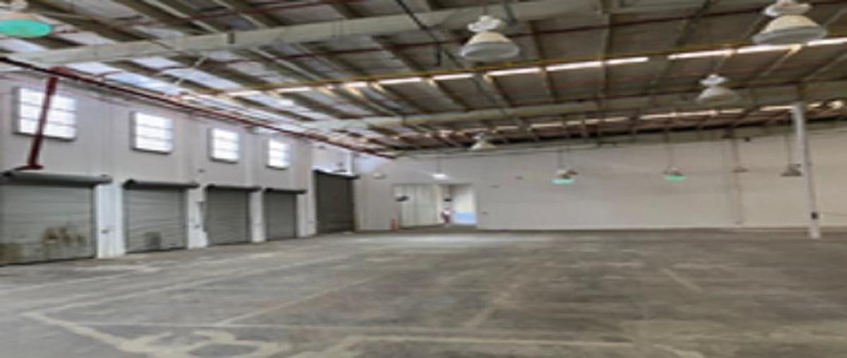 Foto de bodega en renta en  , internacional tijuana, tijuana, baja california, 29525030 No. 04