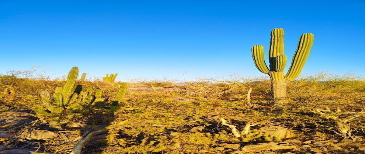 Foto de terreno habitacional en , invi el mezquitito, la paz, baja california sur, 0 foto 05 Foto de terreno habitacional en venta en , invi el mezquitito, la paz, baja california sur, 0 No. 05