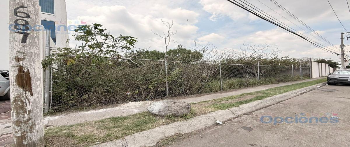 Foto de terreno habitacional en venta en  , irapuato, irapuato, guanajuato, 30303301 No. 04