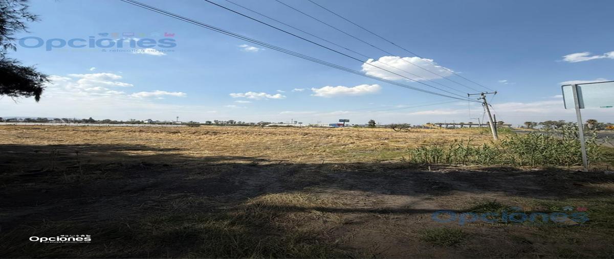 Foto de terreno habitacional en venta en  , irapuato, irapuato, guanajuato, 0 No. 04