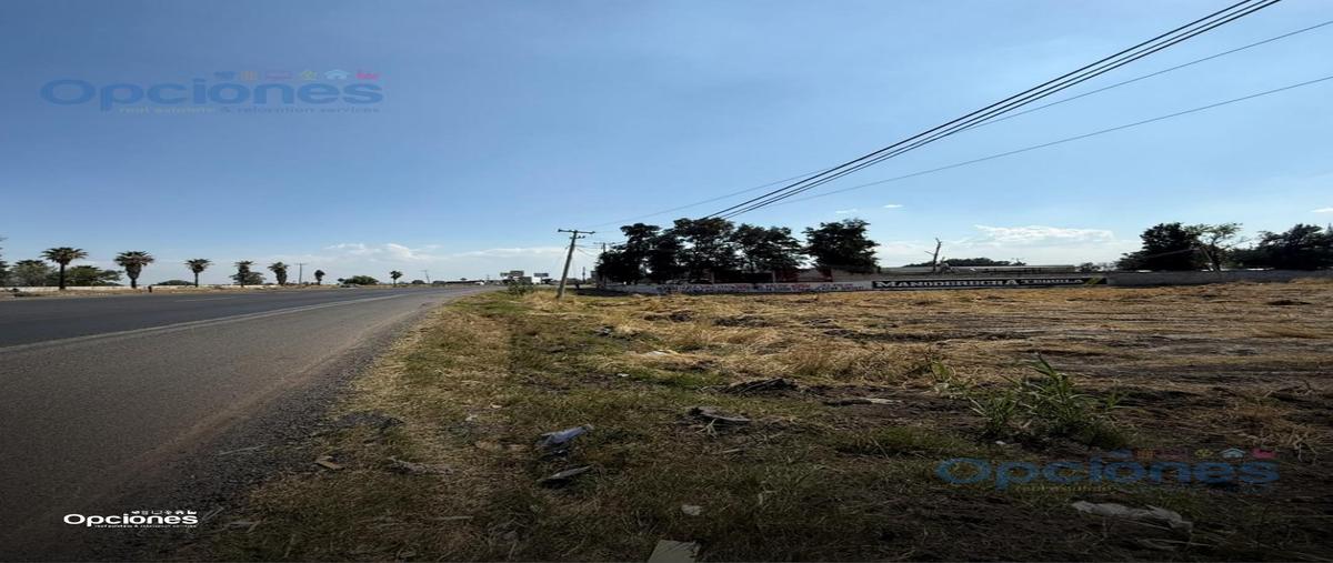Foto de terreno habitacional en venta en  , irapuato, irapuato, guanajuato, 0 No. 05