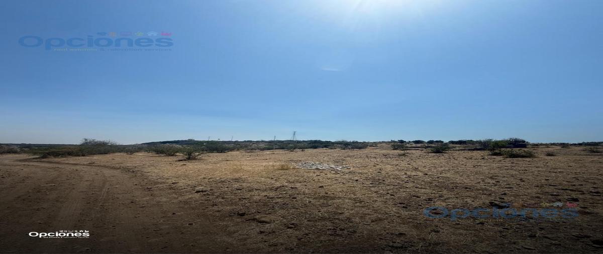 Foto de terreno habitacional en venta en  , irapuato, irapuato, guanajuato, 0 No. 05