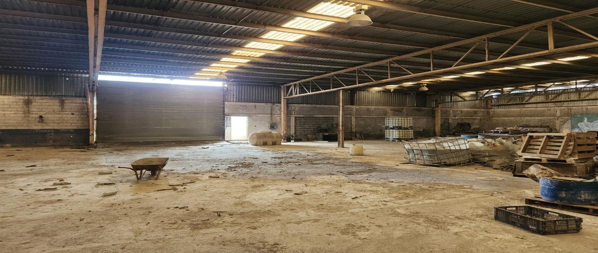 Foto de bodega en venta en isabel escamilla , andres caballero moreno agrop, general escobedo, nuevo león, 0 No. 03