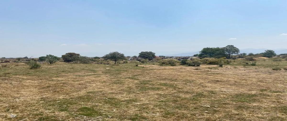 Foto de terreno habitacional en venta en  , isidro fabela, lerma, méxico, 0 No. 05