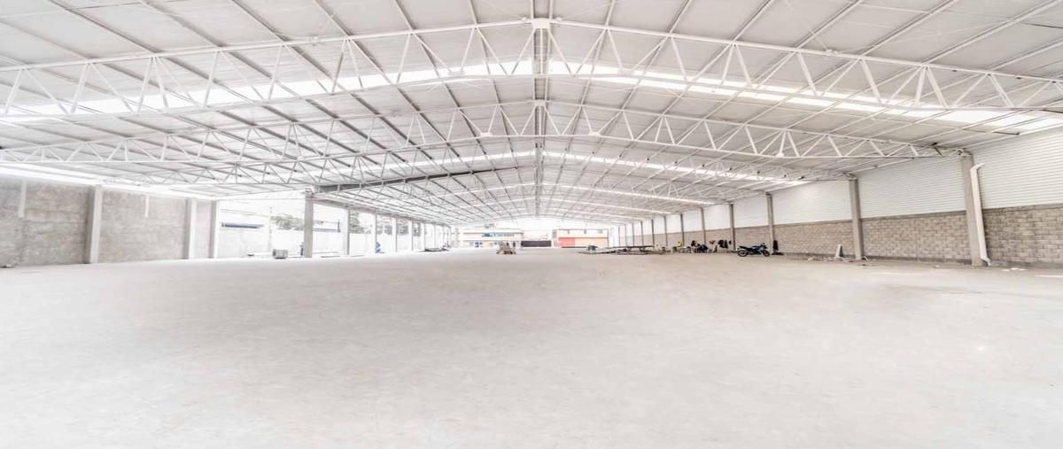 Foto de nave industrial en renta en  , isidro fabela, lerma, méxico, 30256259 No. 04