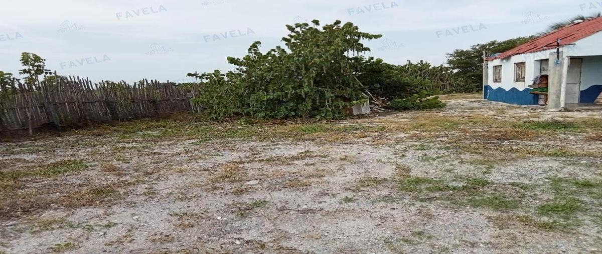 Foto de terreno habitacional en , isla aguada, carmen, campeche, 25597483 foto 03 Foto de terreno habitacional en renta en , isla aguada, carmen, campeche, 25597483 No. 03