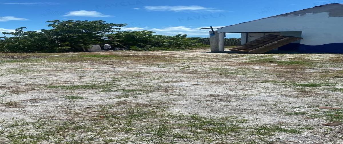 Foto de terreno habitacional en , isla aguada, carmen, campeche, 25597484 foto 04 Foto de terreno habitacional en venta en , isla aguada, carmen, campeche, 25597484 No. 04