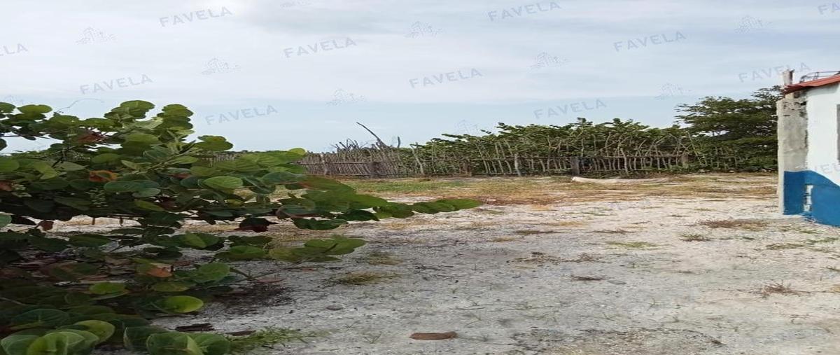 Foto de terreno habitacional en , isla aguada, carmen, campeche, 25597484 foto 05 Foto de terreno habitacional en venta en , isla aguada, carmen, campeche, 25597484 No. 05