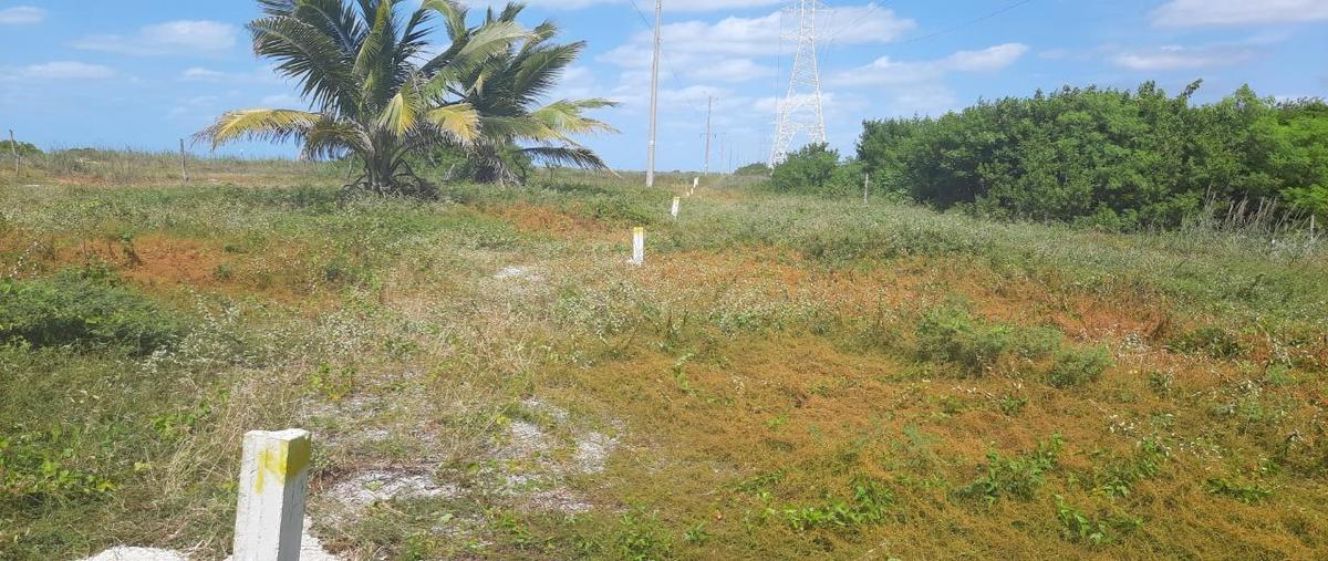 Foto de terreno habitacional en venta en  , isla aguada, carmen, campeche, 30182785 No. 03