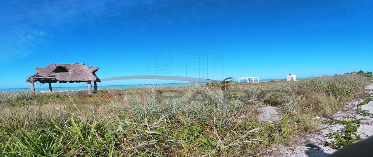 Foto de terreno habitacional en venta en  , isla aguada, carmen, campeche, 0 No. 05