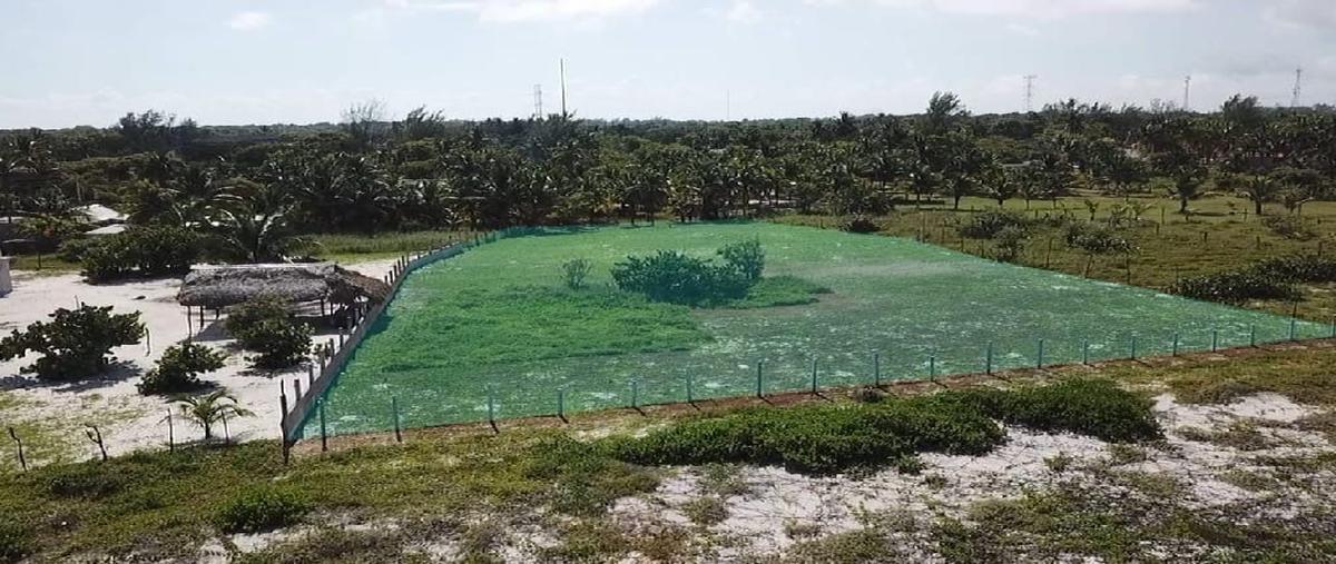Foto de terreno habitacional en isla aguada , isla aguada, carmen, campeche, 28663388 foto 01 Foto de terreno habitacional en venta en isla aguada , isla aguada, carmen, campeche, 28663388 No. 01