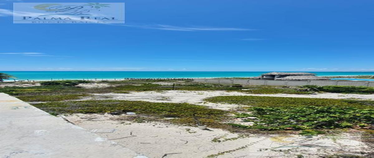 Foto de terreno habitacional en venta en  , isla blanca, isla mujeres, quintana roo, 0 No. 05