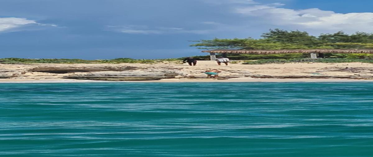 Foto de terreno habitacional en venta en  , isla blanca, isla mujeres, quintana roo, 28920147 No. 03