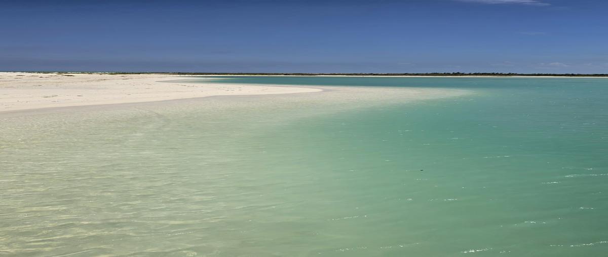 Foto de terreno habitacional en venta en  , isla blanca, isla mujeres, quintana roo, 28920147 No. 05