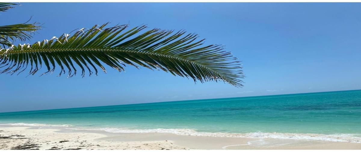 Foto de terreno habitacional en , isla blanca, isla mujeres, quintana roo, 29273665 foto 04 Foto de terreno habitacional en venta en , isla blanca, isla mujeres, quintana roo, 29273665 No. 04