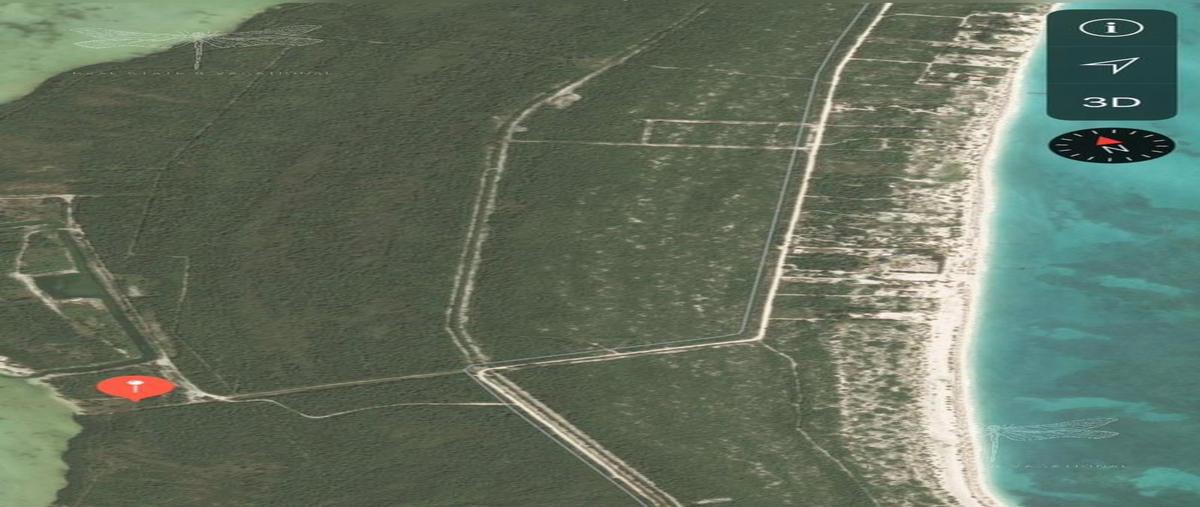 Foto de terreno habitacional en venta en  , isla blanca, isla mujeres, quintana roo, 0 No. 04