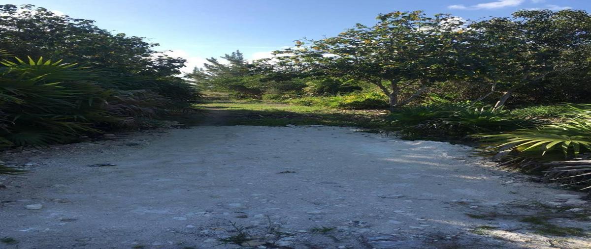 Foto de terreno habitacional en venta en  , isla blanca, isla mujeres, quintana roo, 0 No. 05