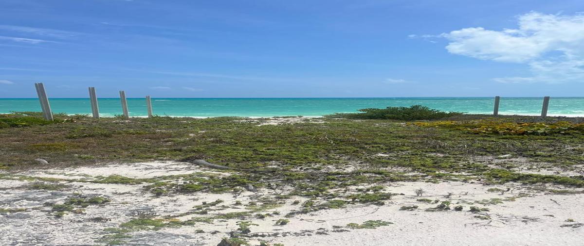Foto de terreno habitacional en venta en  , isla blanca, isla mujeres, quintana roo, 0 No. 03