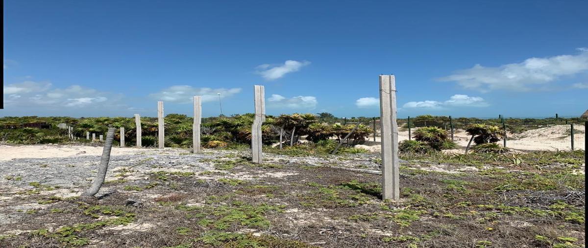 Foto de terreno habitacional en venta en  , isla blanca, isla mujeres, quintana roo, 0 No. 04